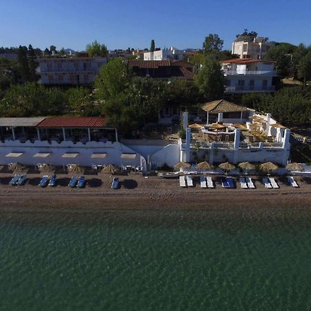 Alissos Taradella Hotel المظهر الخارجي الصورة